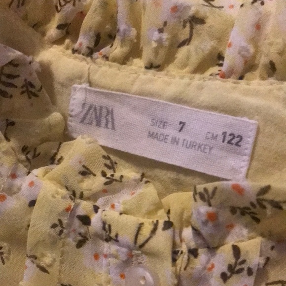 Zara Floral Chiffon Pleaded Kids Dress 7 - Picture 8 of 8